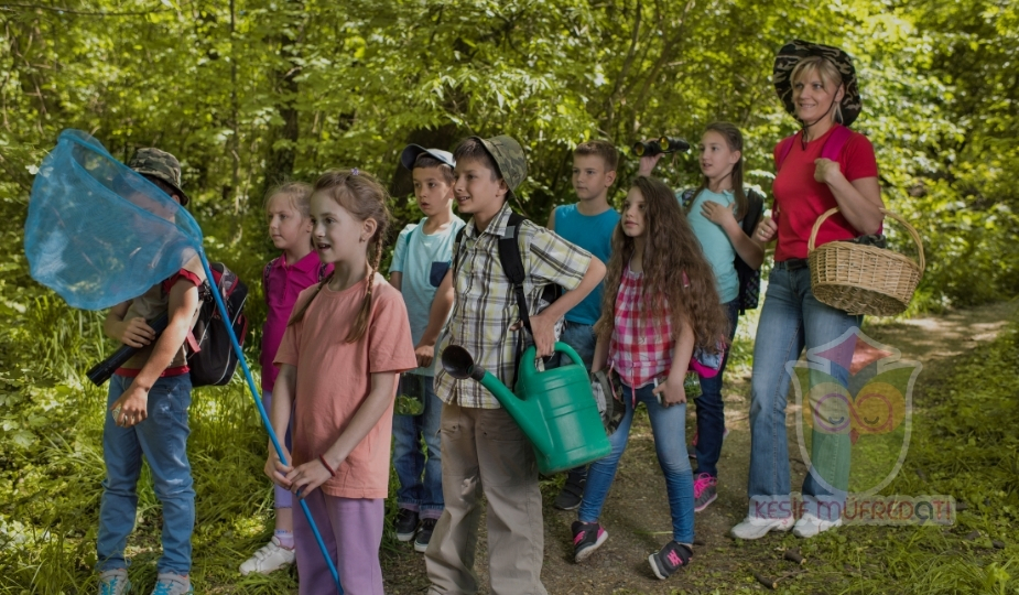 Reggio Emilia Yaklaşımına Göre Öğretmen